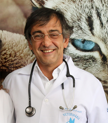 Dr Cláudio D'Angelo Clínica Veterinária Embu-Guaçu